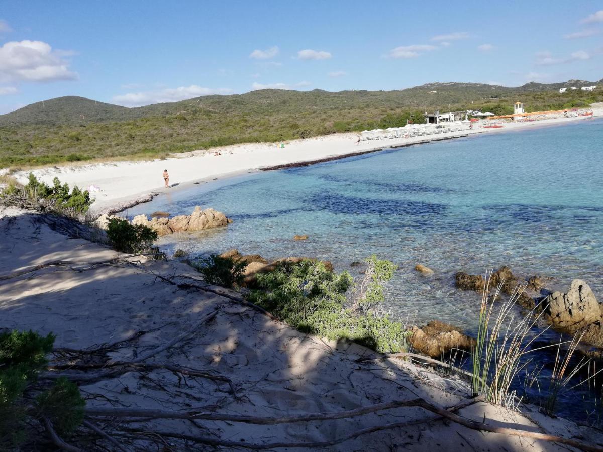 La Sima Villa Con Piscina Vista Mare San Pantaleo Sardegna Dış mekan fotoğraf