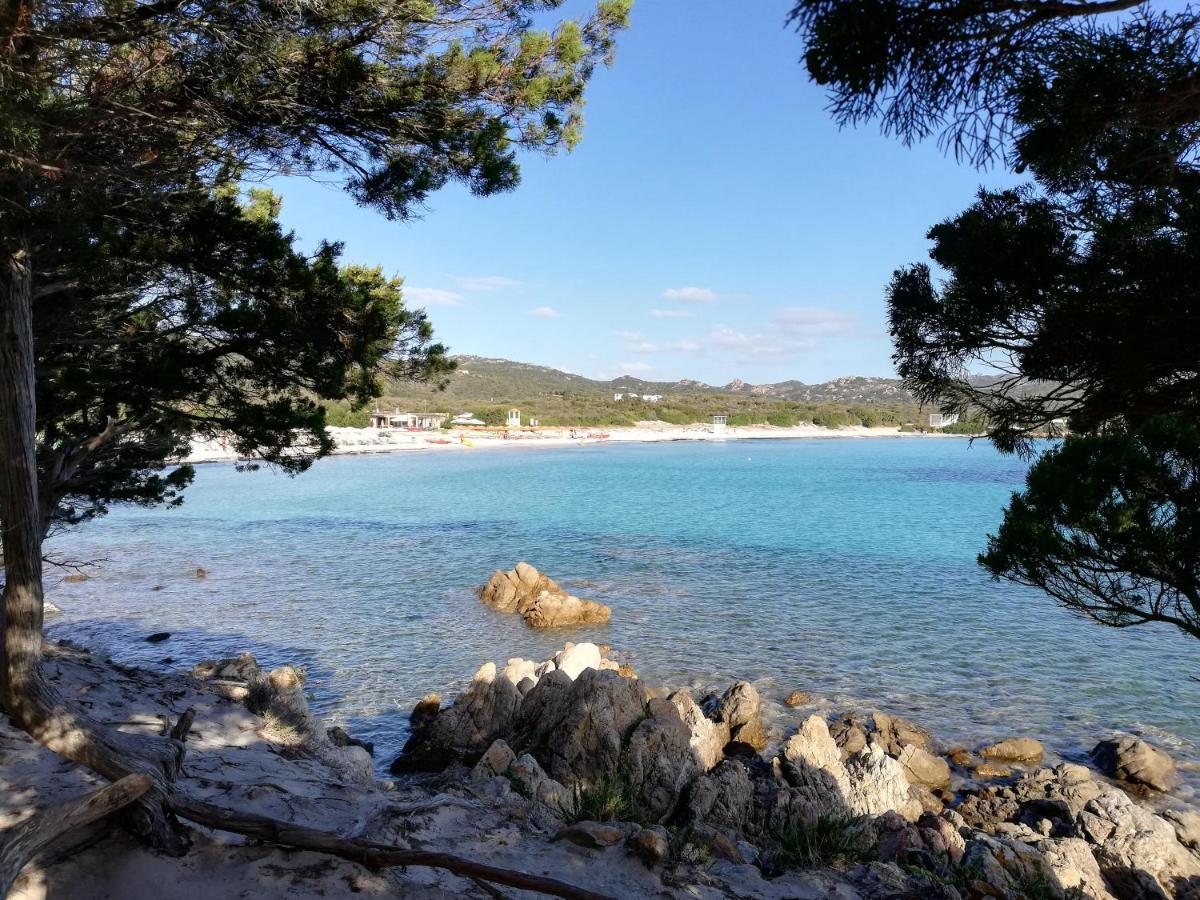 La Sima Villa Con Piscina Vista Mare San Pantaleo Sardegna Dış mekan fotoğraf